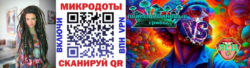 Псилоцибиновые грибы Cubensis  сколько стоит  Ядрин 